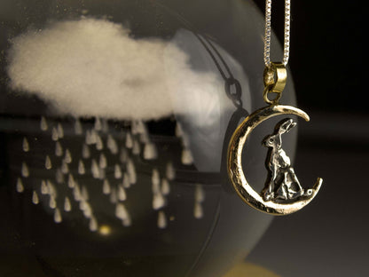 Lepre sulla Luna art.481