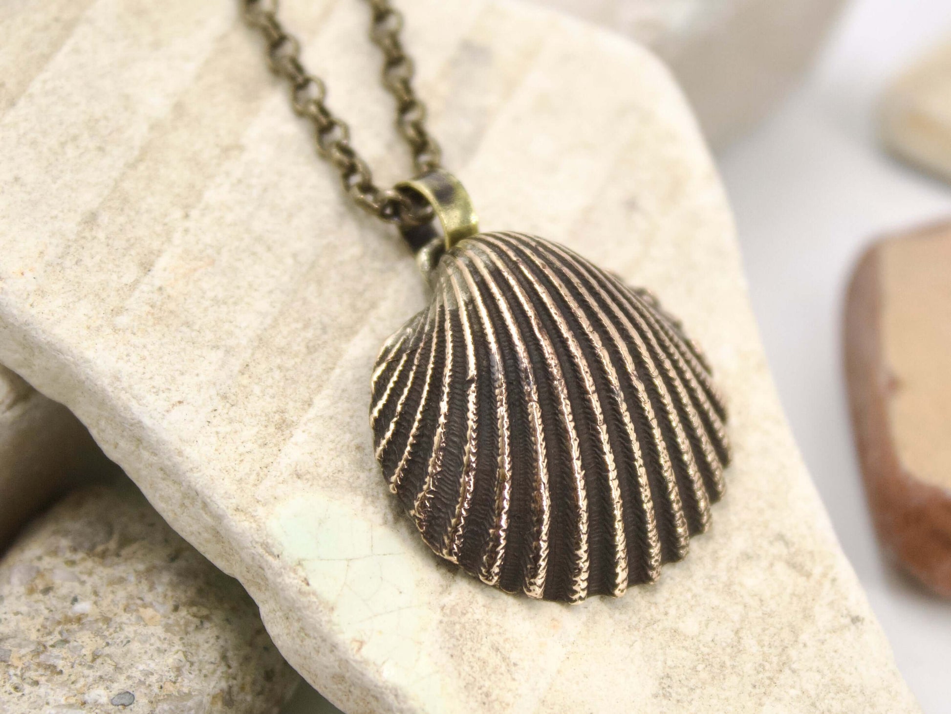 Collana conchiglia Glimoire con pendente in metallo effetto conchiglia su catena vintage