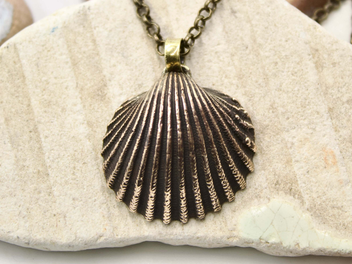 Collana conchiglia Glimoire con pendente a forma di conchiglia in metallo effetto antico