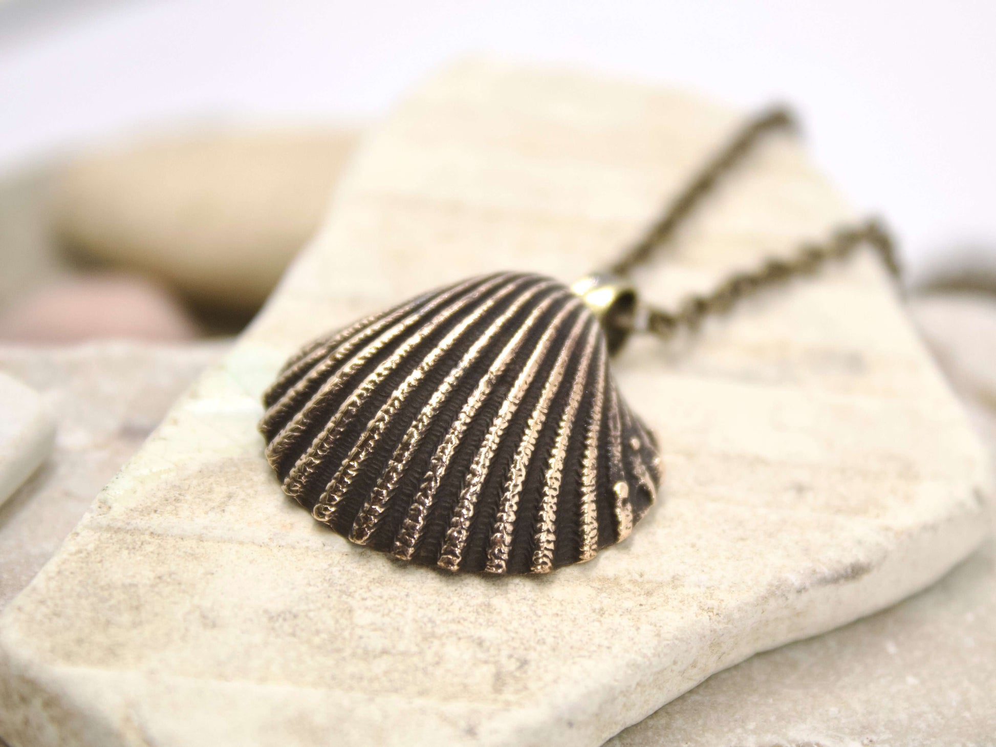 Collana conchiglia in bronzo lavorato su catena sottile vintage di Glimoire
