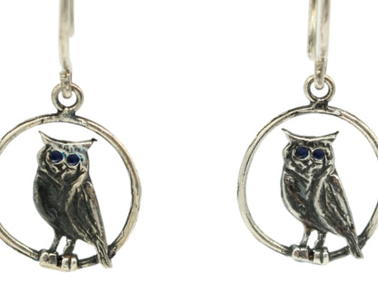 Orecchini gufi in argento con dettagli blu, design circolare e pendenti a forma di gufo